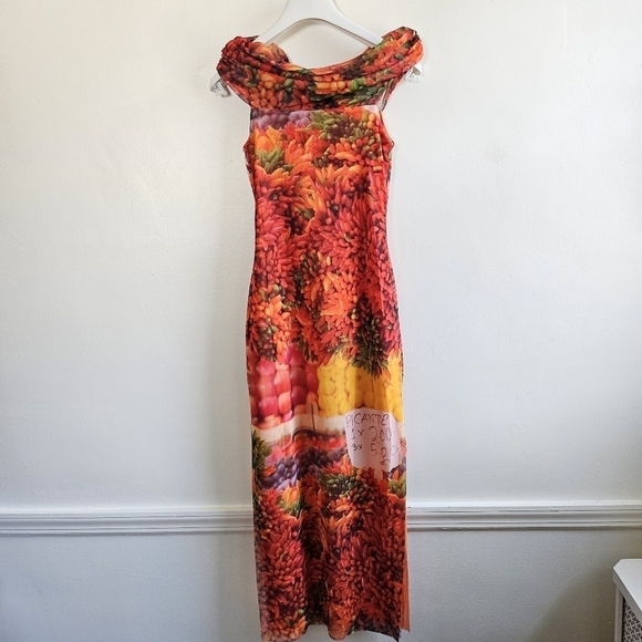 New Zara Picante All Over Print Over The Shoulder Tulle Maxi Dress NWT Small - Picture 11 of 12
